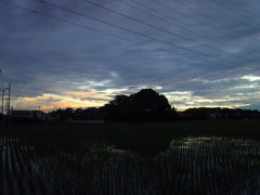 2017/07/01_水田の夕暮れ