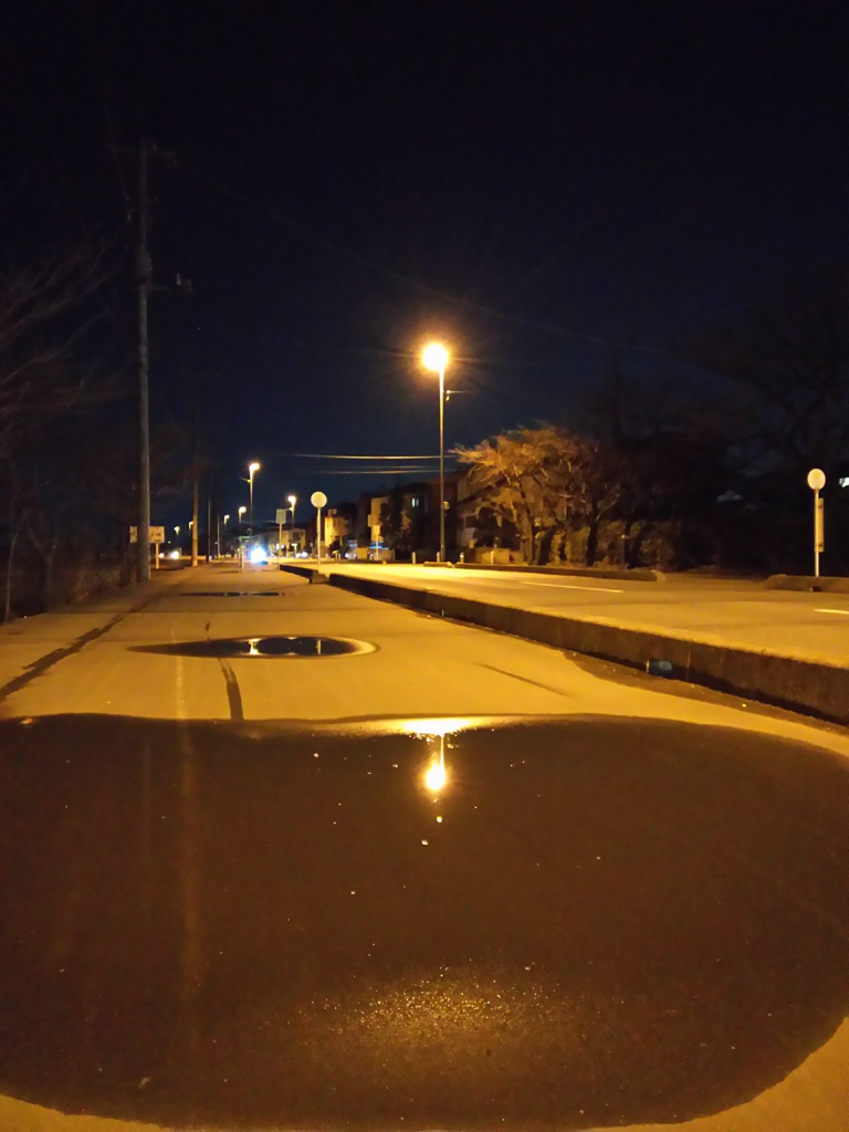 2017/01/09_夜の水溜まりに街灯
