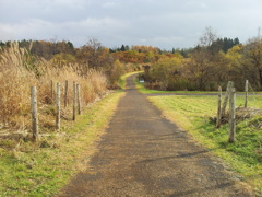 2016/11/13_三内丸山遺跡 ピクニック広場への道