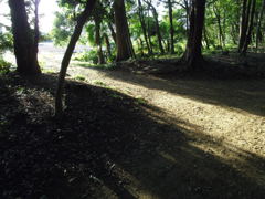 2017/05/04_神明神社参道に日差し