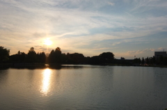 2014/06/15_夕暮れのしのぶ池