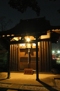 2015/01/24_夜の氷川神社