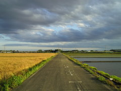 2017/06/04_田んぼの中の道