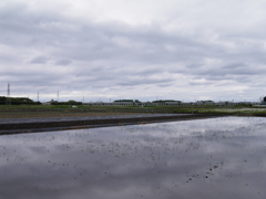 2017/05/14_水田の曇天