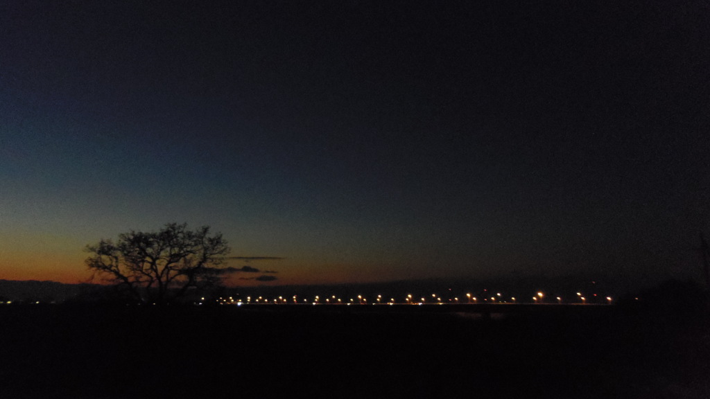 2014/01/12_夕暮れの木と太郎右衛門橋