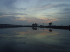 2016/11/20_溜め池の夕暮れ