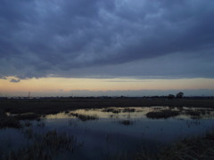 2017/02/25_溜め池の夕暮れ