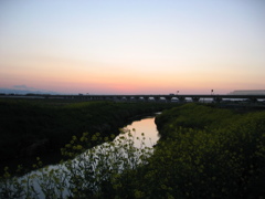 2017/04/15_野通川の夕暮れ菜の花