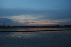 2016/06/11_水田の夕暮れ