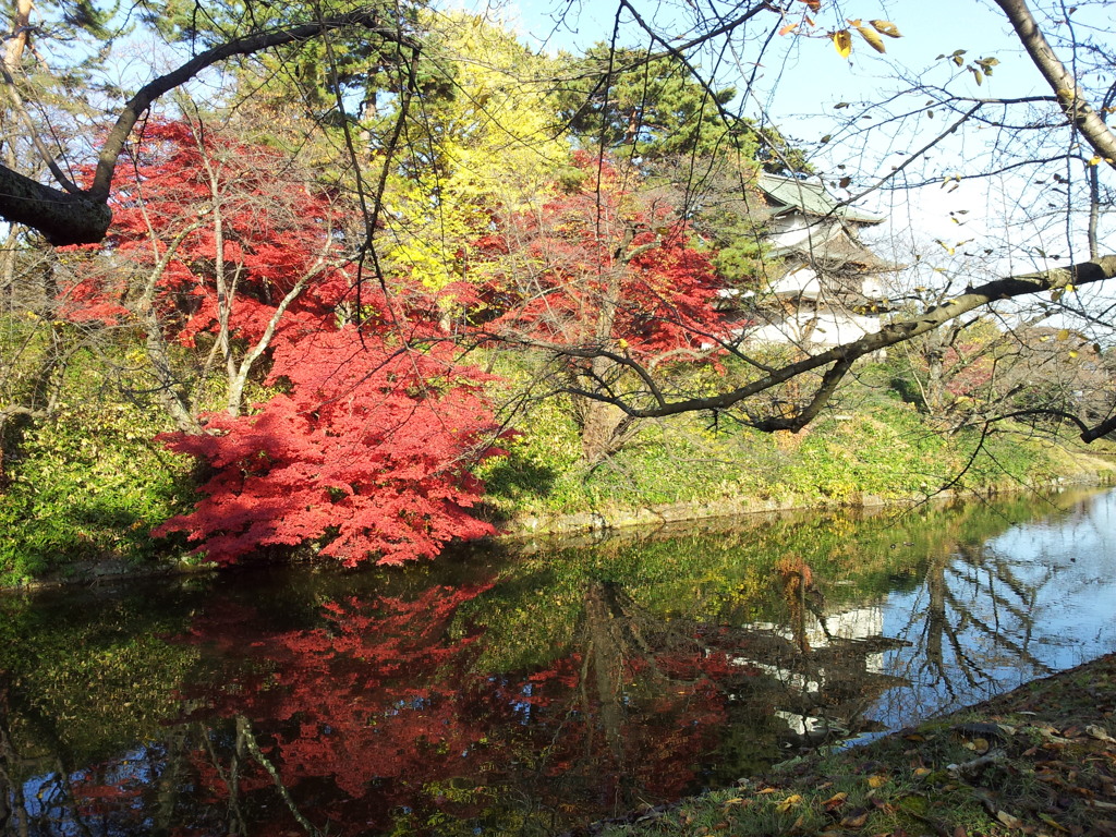 2016/11/14_弘前公園 中濠と辰巳櫓