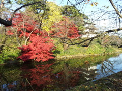 2016/11/14_弘前公園 中濠と辰巳櫓