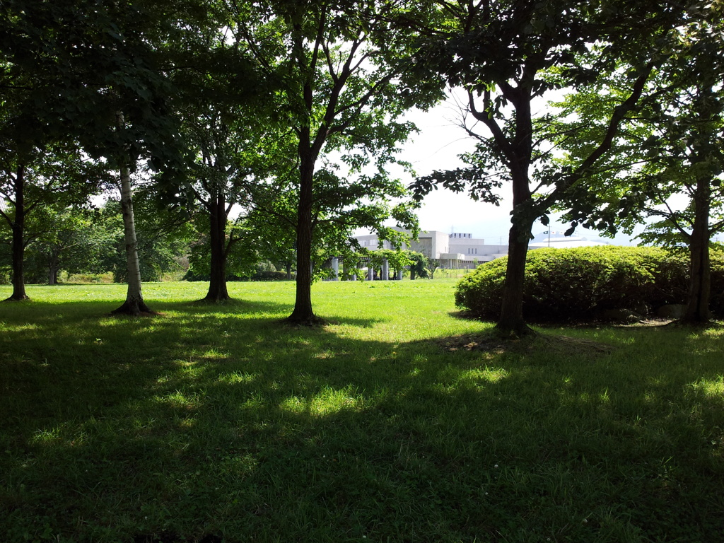 2018/07/14_中央公園