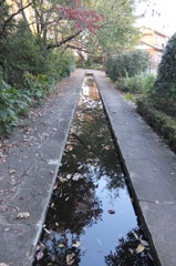 2014/11/15_鴨川みずべの里