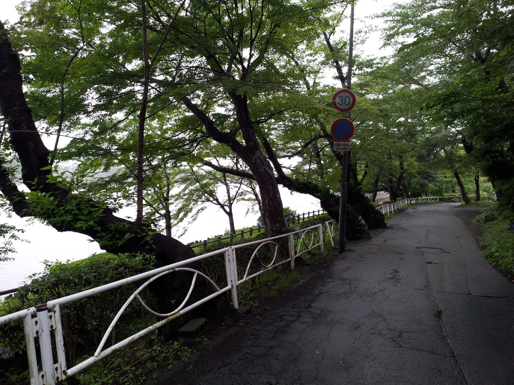 2016/07/17_高松公園 高松ノ池脇の木