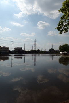 2015/04/29_水田に雲