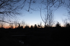 2015/02/15_夕暮れの秋葉の森総合公園