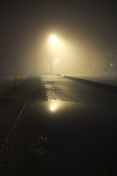 2015/02/08_霧の夜