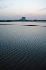 2016/06/18_水田の夕暮れ