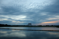 2015/06/21_水田の夕暮れ