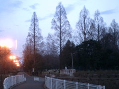 2016/02/13_夕暮れの伊奈町制施行記念公園