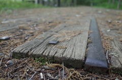 2016/05/01_トロッコ公園の踏切