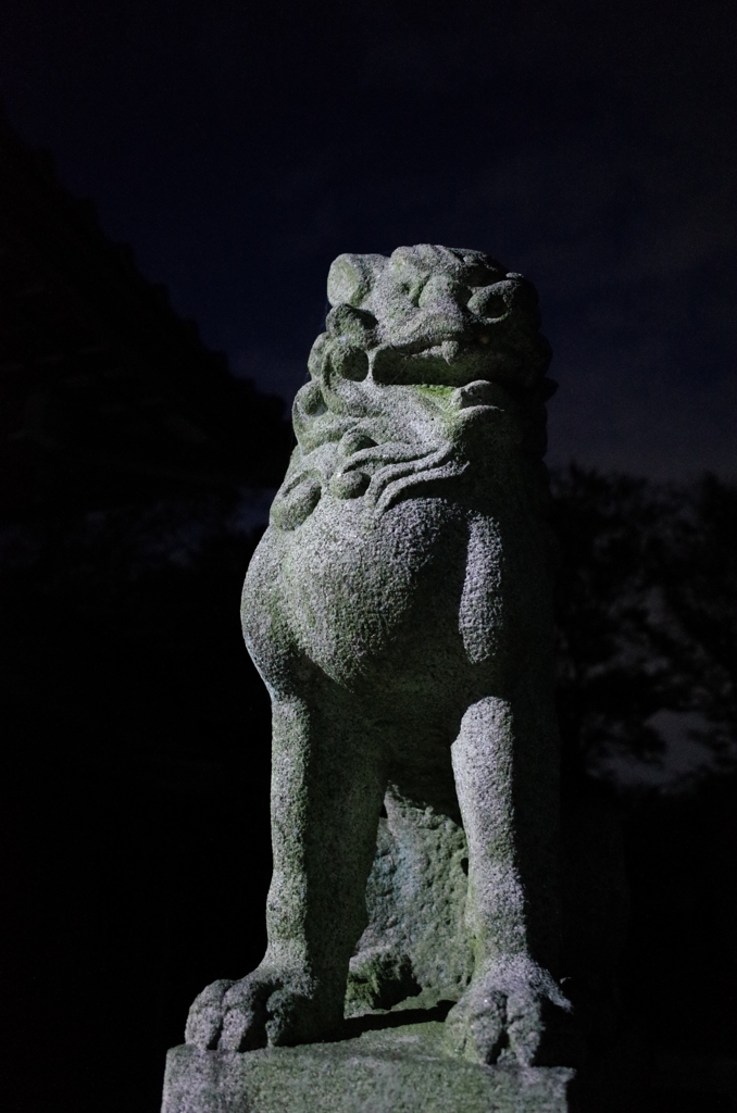 2014/11/23_夕暮れの氷川神社狛犬（阿）