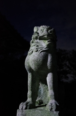 2014/11/23_夕暮れの氷川神社狛犬（阿）