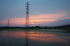 2015/06/14_水田の夕暮れ