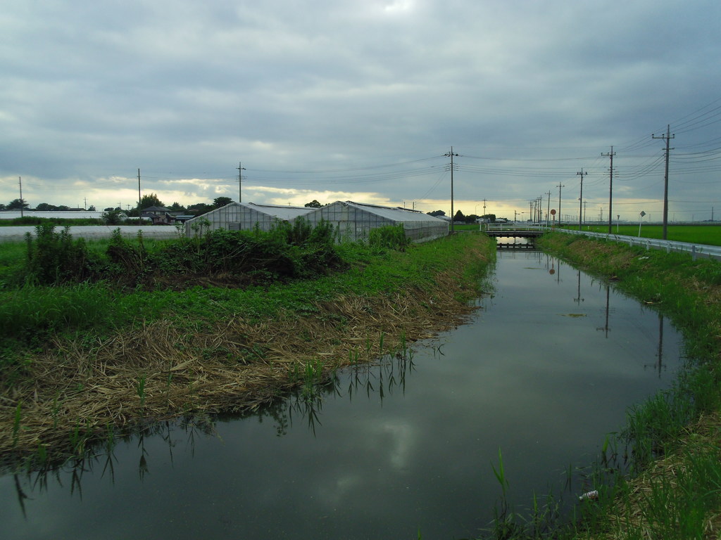 2017/08/12_用水路の曇天