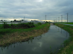 2017/08/12_用水路の曇天