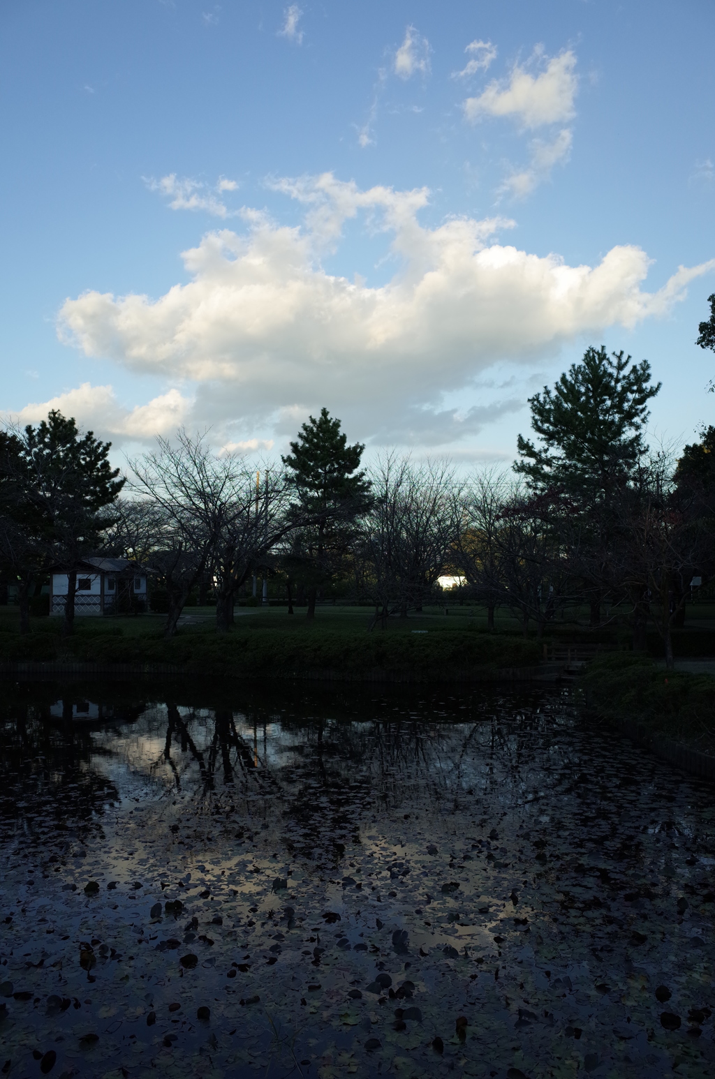 2015/11/03_岩槻城址公園