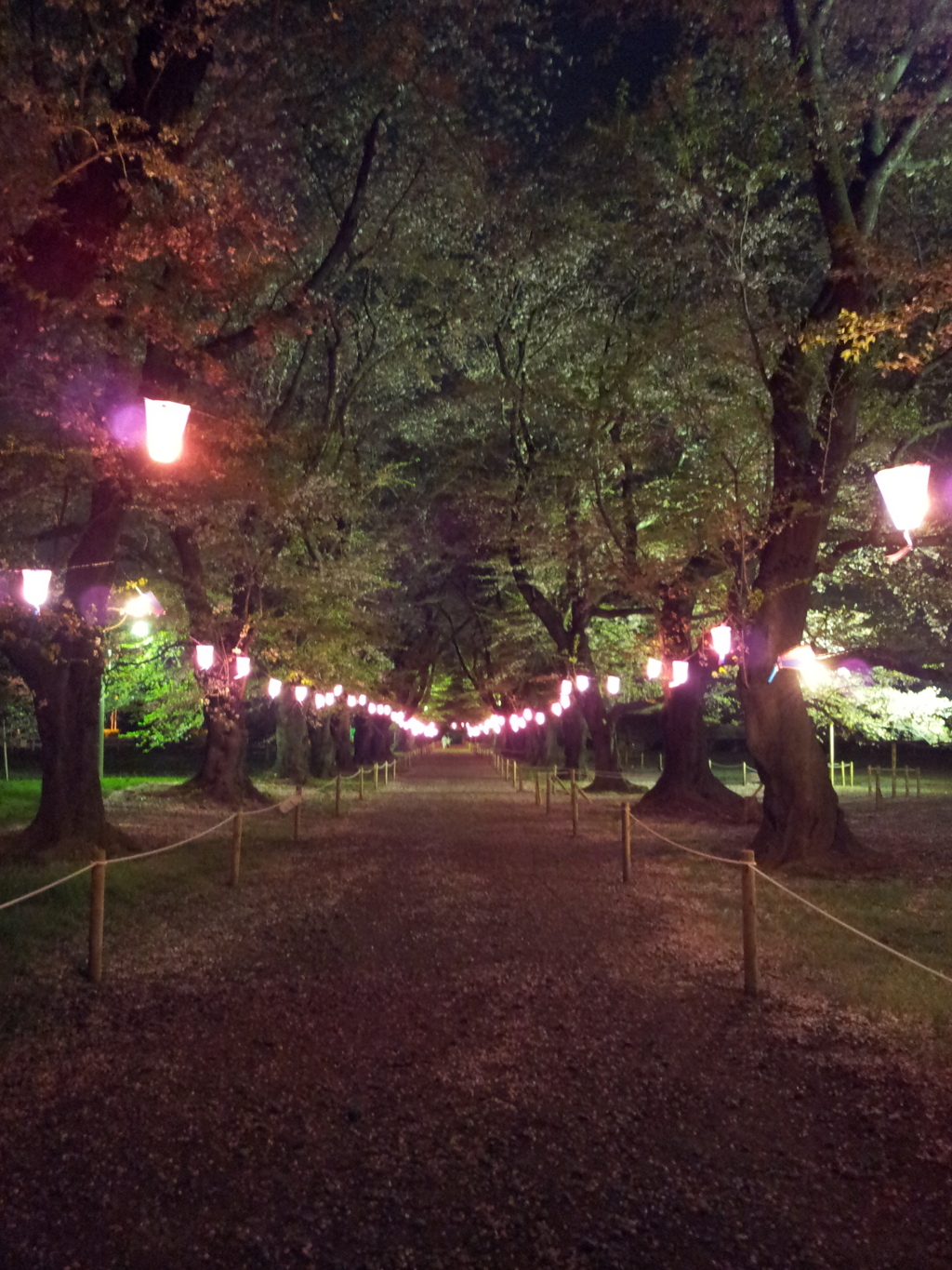 2016/04/10_小室無線山の夜桜