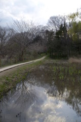 2016/03/26_北本自然観察公園