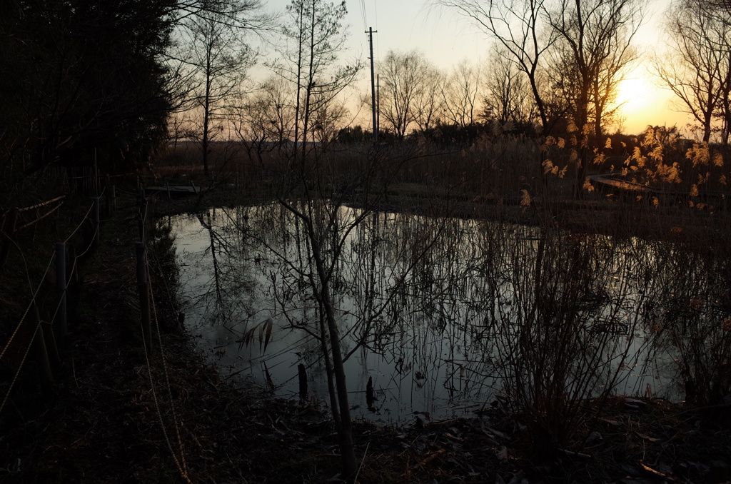 2015/02/11_ホタルの里