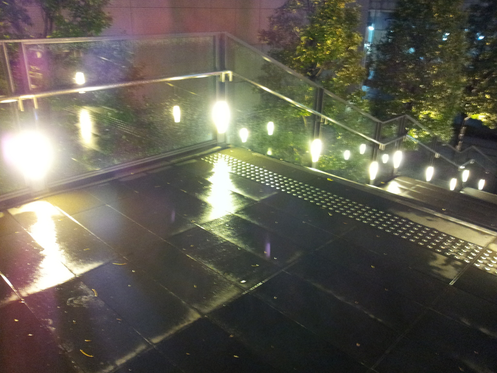 2014/11/26_夜、雨上がりの秋葉原