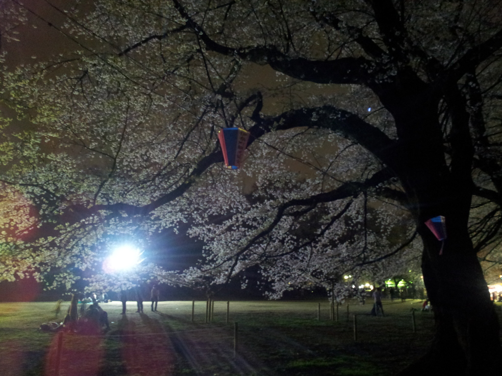 2016/04/02_小室無線山の夜桜
