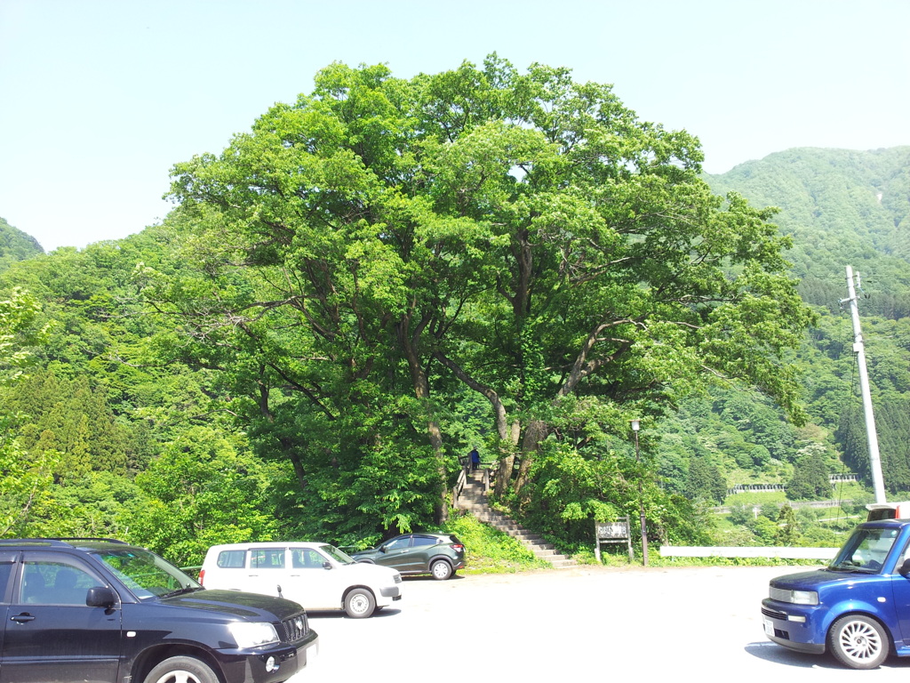 2017/05/20_やまびこ展望台