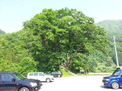 2017/05/20_やまびこ展望台