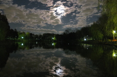 2014/12/06_月夜の北本総合公園