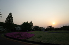2015/04/25_花の丘農林公苑の夕暮れ