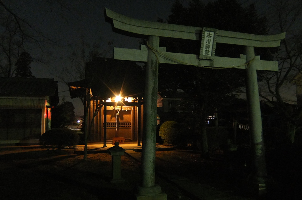 2015/01/24_夜の氷川神社