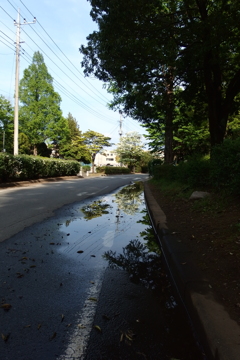 2015/04/29_伊奈町制施行記念公園の水たまり