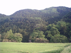 2014/05/04_山の麓の神社