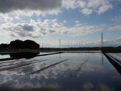 2017/05/14_水田に雲