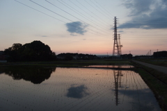2016/06/05_水田の夕暮れ