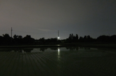 2015/05/23_夜の水田