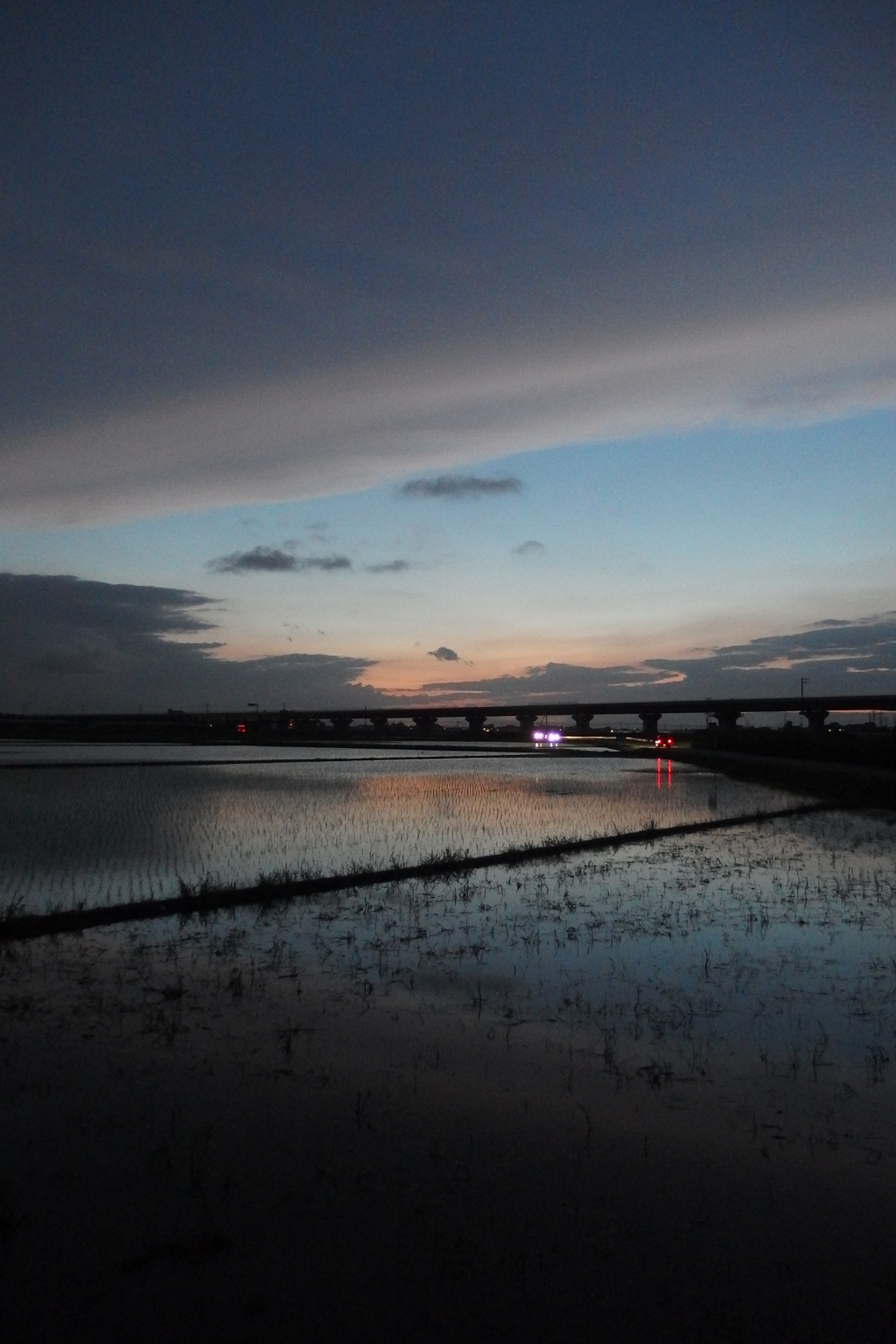 2015/06/28_水田の夕暮れ