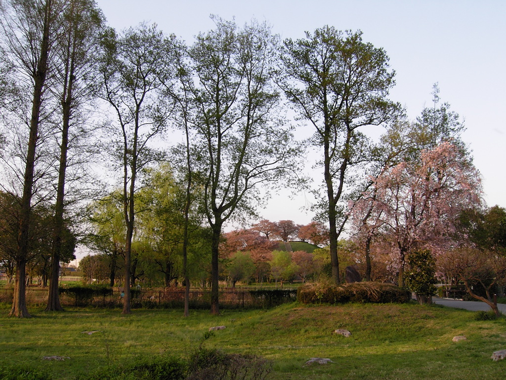 2017/04/16_さきたま古墳公園