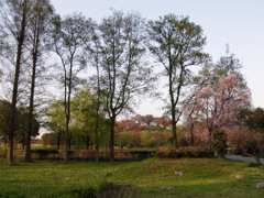 2017/04/16_さきたま古墳公園