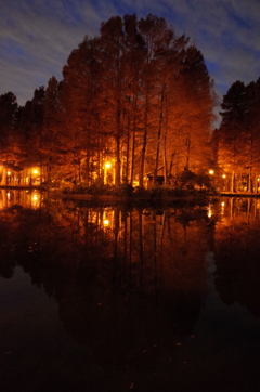 2014/12/07_夕暮れの別所沼公園